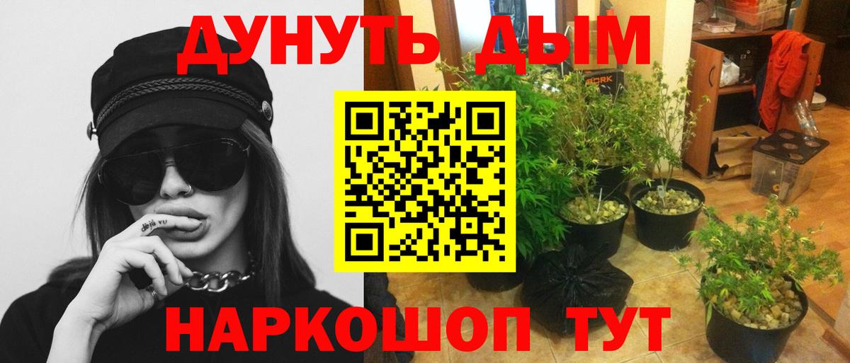 Бошки Шишки тримм  Вход с VPN  Марихуана AK-47  Канабис индика  Сорочинск 